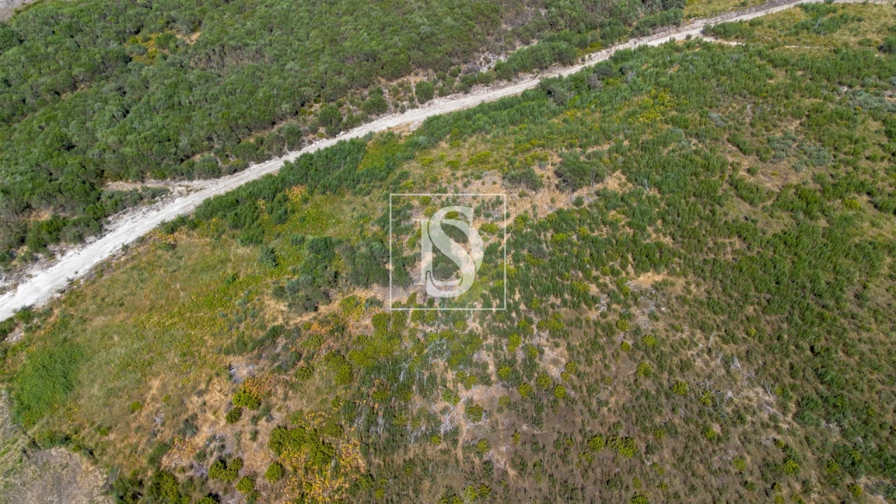 Terreno para Venda em Gouveia (São Simão) Foto 12