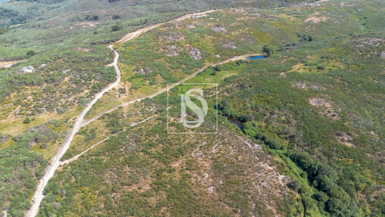 Terreno para Venda em Gouveia (São Simão) Foto 16