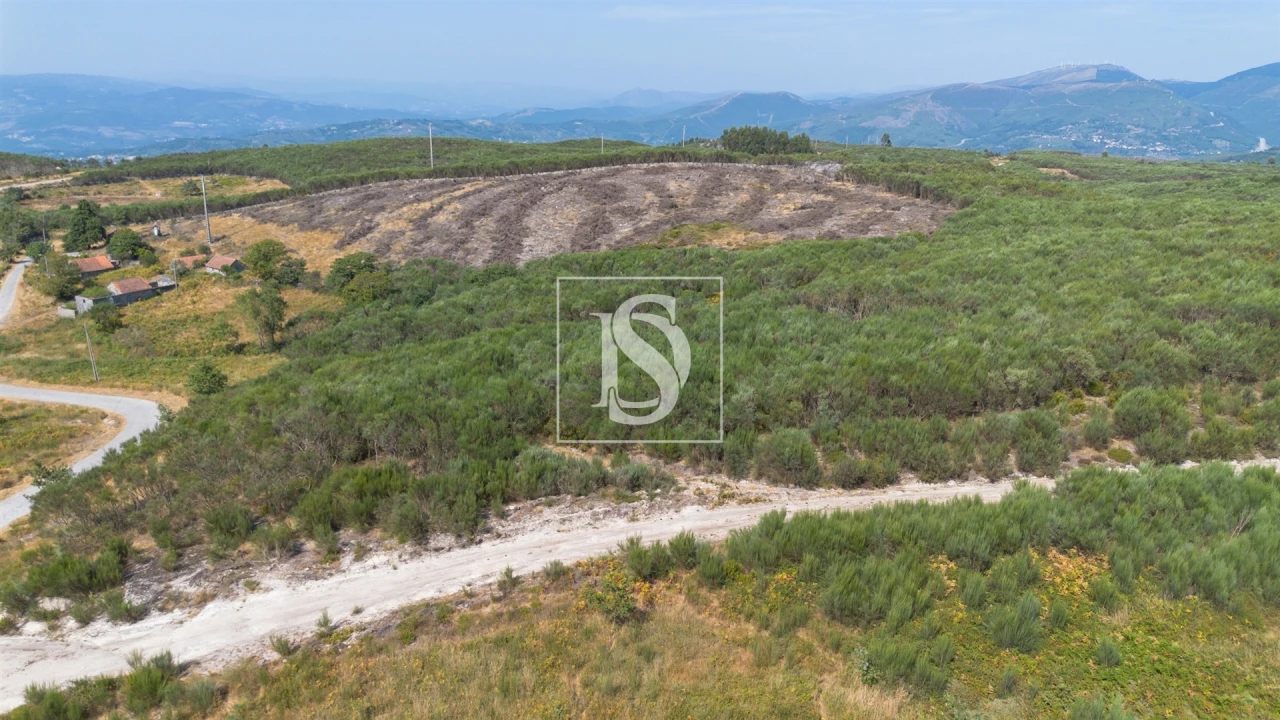 Terreno para Venda em Gouveia (São Simão) Foto 14
