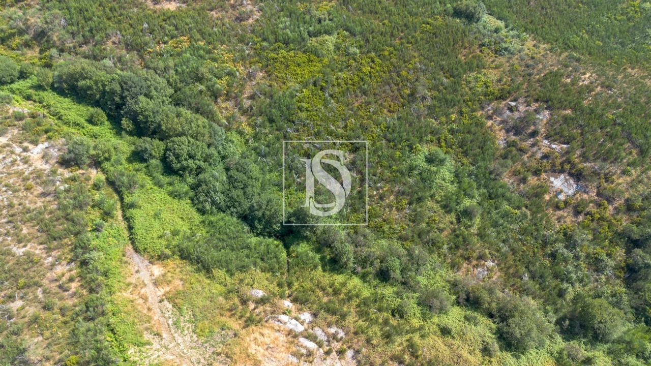 Terreno para Venda em Gouveia (São Simão) Foto 13