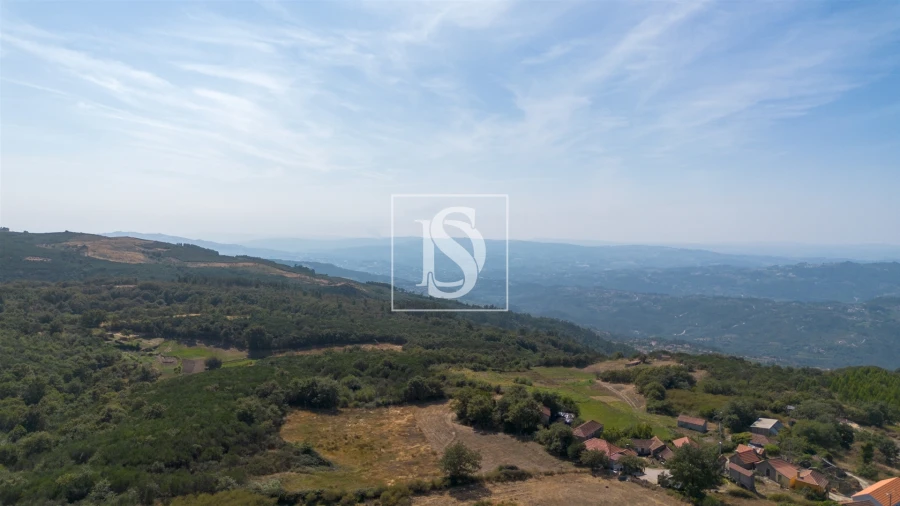 Terreno para Venda em Gouveia (São Simão) Foto 8