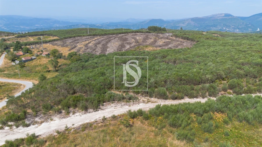 Terreno para Venda em Gouveia (São Simão) Foto 14