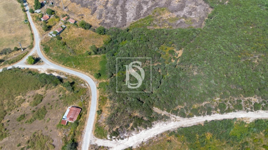 Terreno para Venda em Gouveia (São Simão) Foto 5