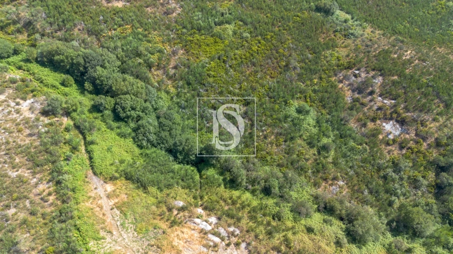 Terreno para Venda em Gouveia (São Simão) Foto 13