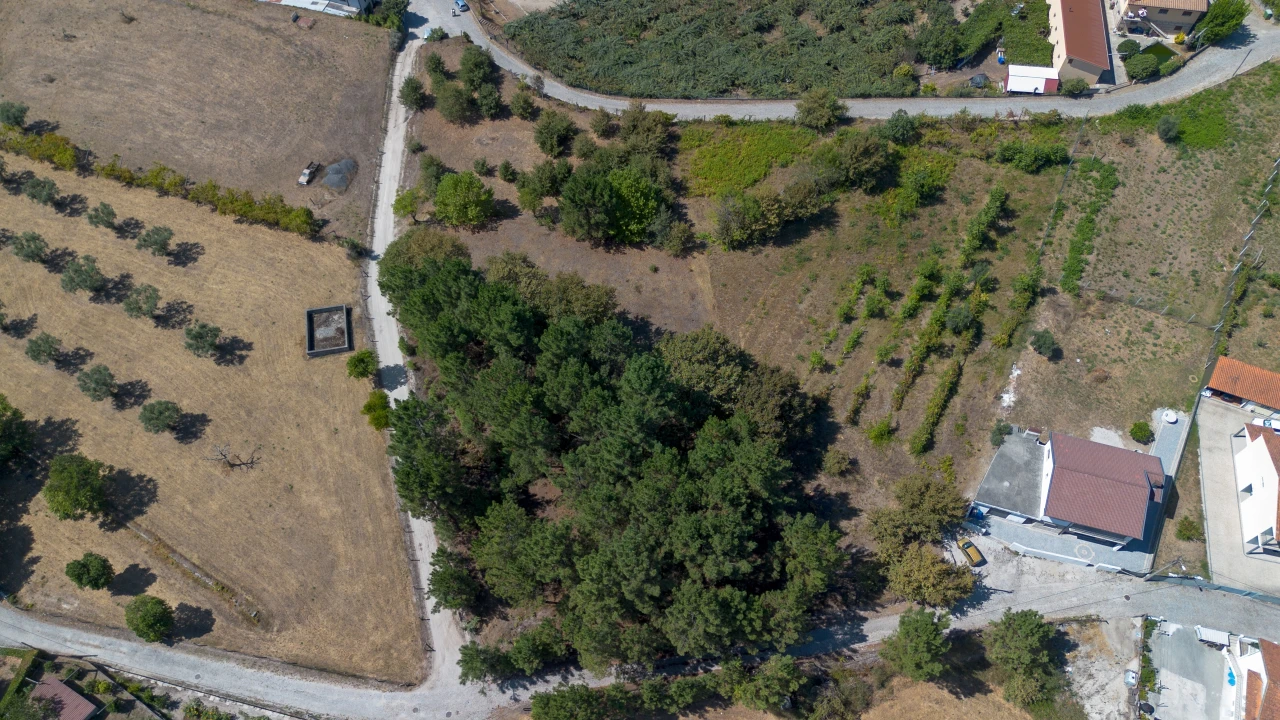 Terreno para Venda em Fregim Foto 8