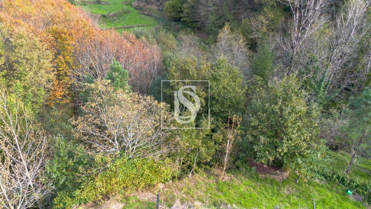 Terreno para Venda em Ansiães Foto 4