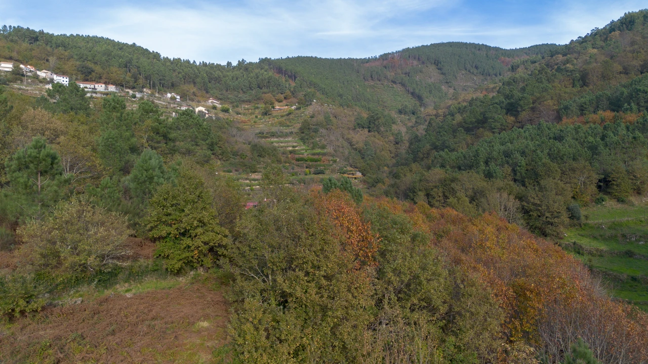 Terreno para Venda em Ansiães Foto 3
