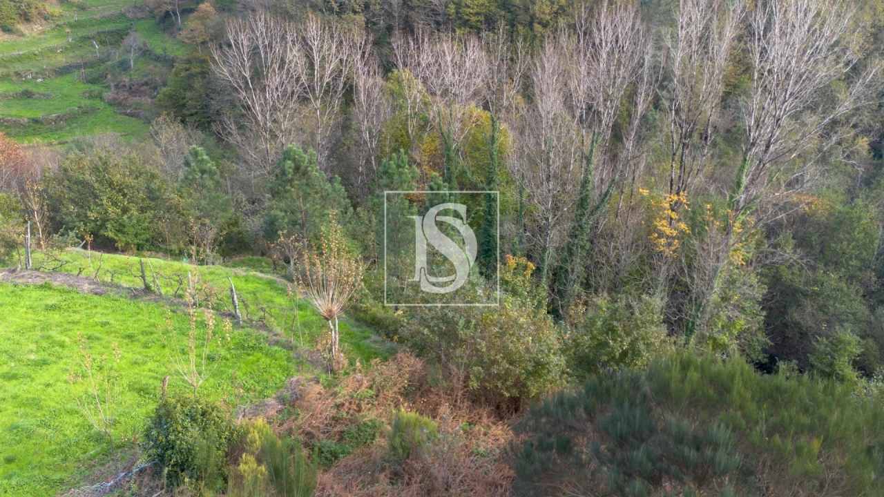 Terreno para Venda em Ansiães Foto 5