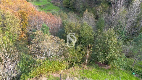 Terreno para Venda em Ansiães