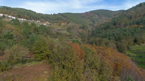 Terreno para Venda em Ansiães