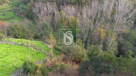 Terreno para Venda em Ansiães