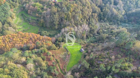 Terreno para Venda em Ansiães