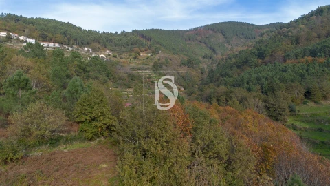 Terreno para Venda em Ansiães