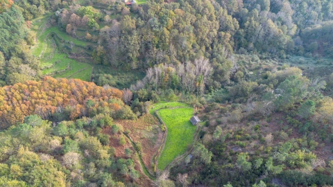 Terreno para Venda em Ansiães