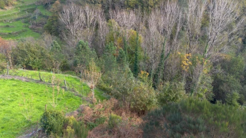 Terreno para Venda em Ansiães