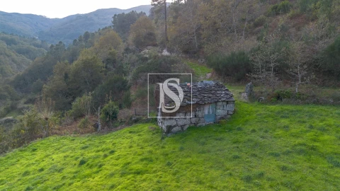 Terreno para Venda em Ansiães