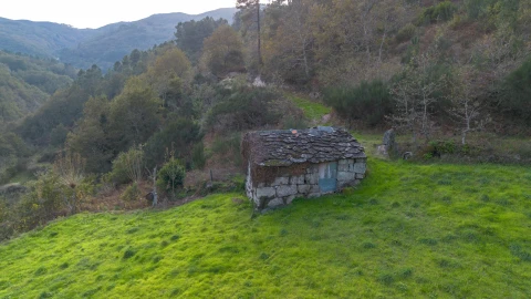 Terreno para Venda em Ansiães