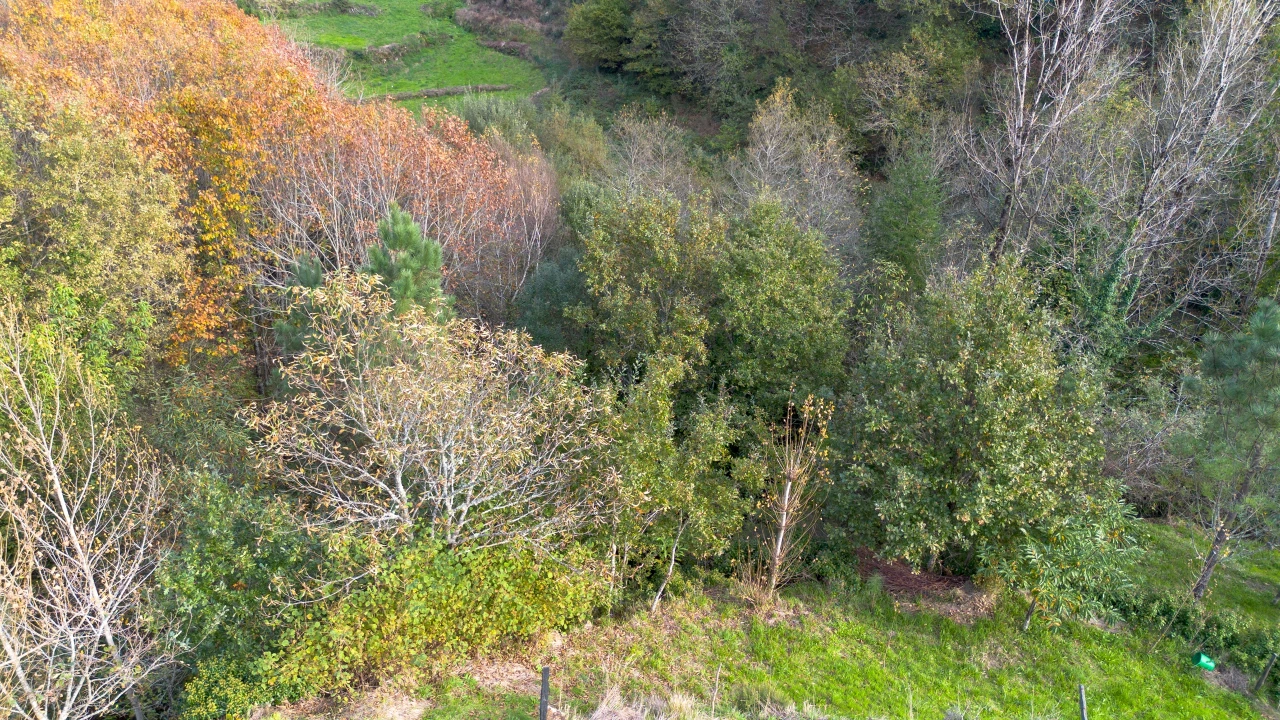 Terreno para Venda em Ansiães Foto 10