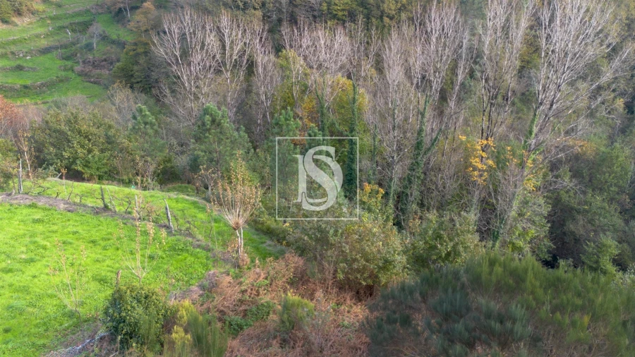 Terreno para Venda em Ansiães Foto 5