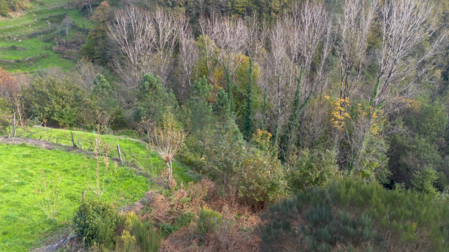 Terreno para Venda em Ansiães Foto 4