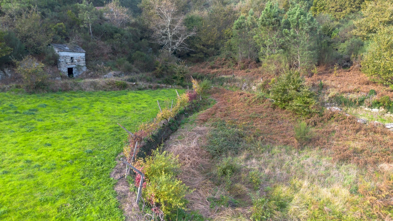Terreno para Venda em Ansiães Foto 7