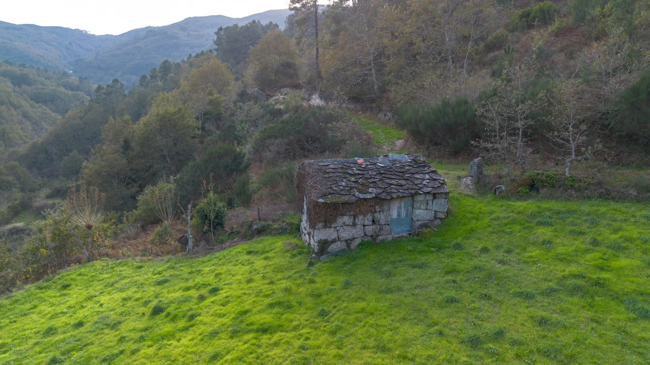 Terreno para Venda em Ansiães Foto 2