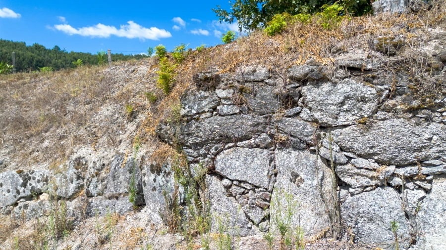 Terreno para Venda em Fregim Foto 6