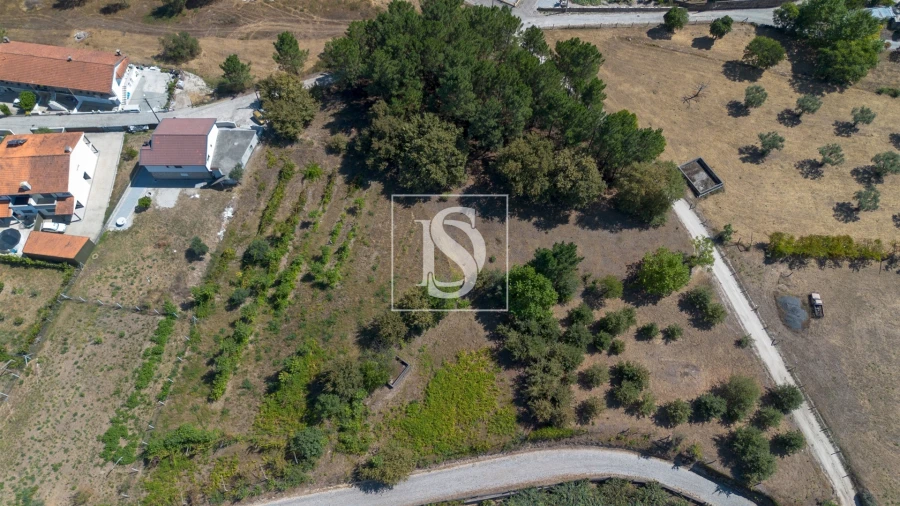 Terreno para Venda em Fregim Foto 8