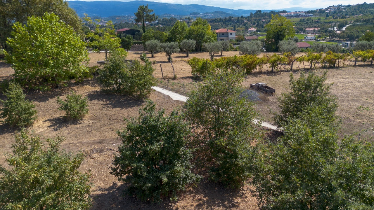 Terreno para Venda em Fregim Foto 7