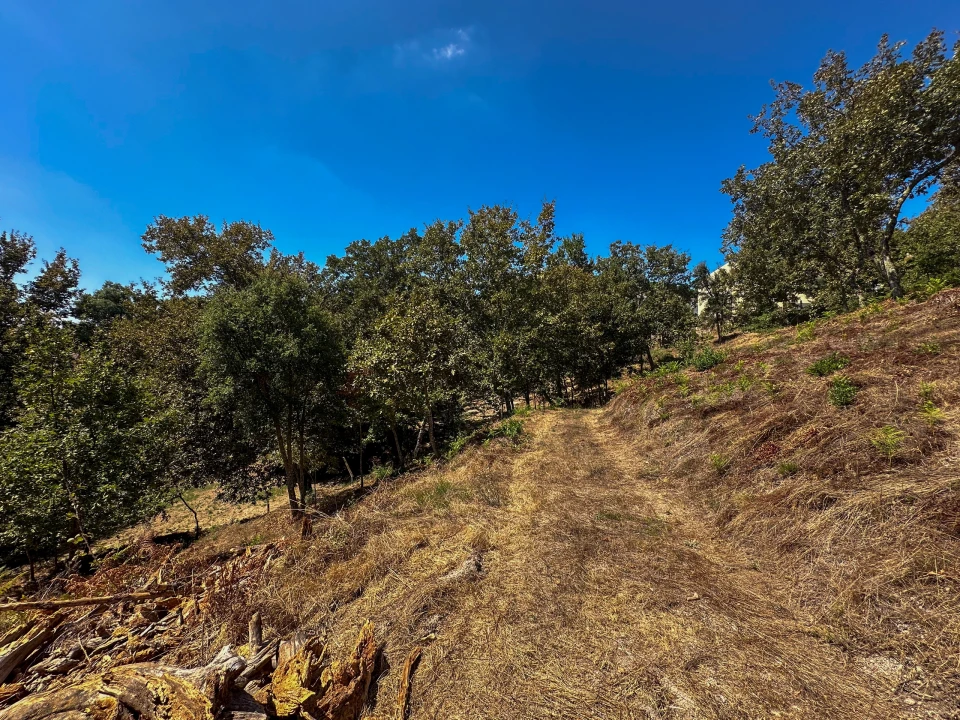 Terreno para Venda em Lufrei Foto 11
