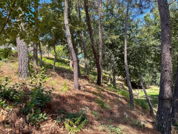 Terreno para Venda em Lufrei