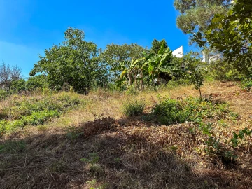 Terreno para Venda em Lufrei