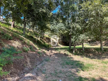 Terreno para Venda em Lufrei