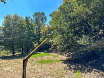 Terreno para Venda em Lufrei