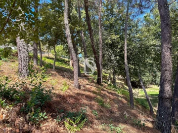 Terreno para Venda em Lufrei
