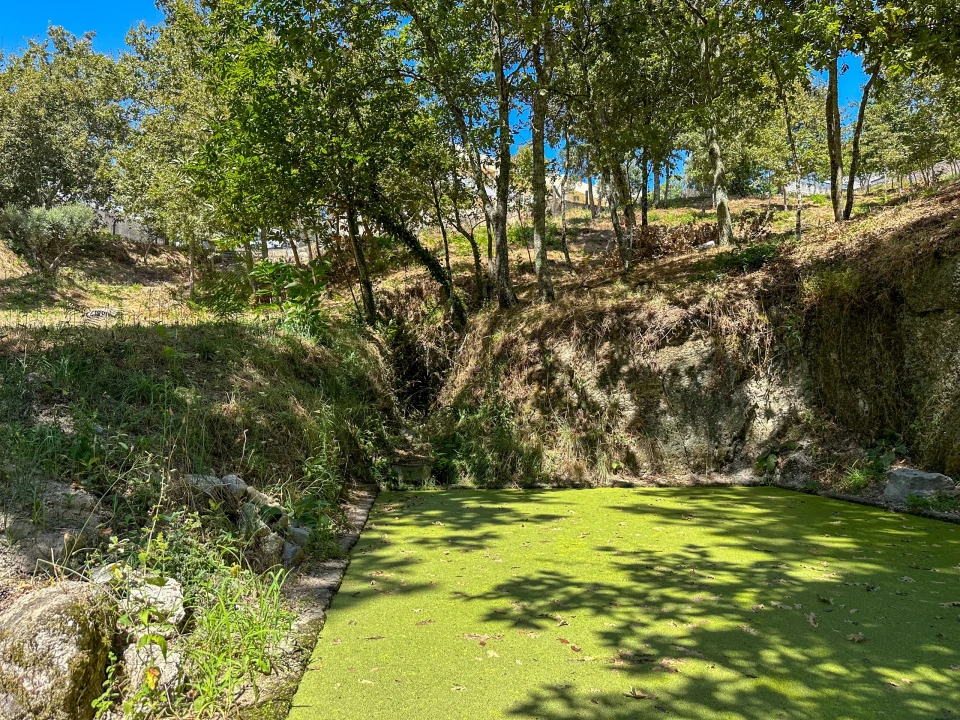 Terreno para Venda em Lufrei Foto 8