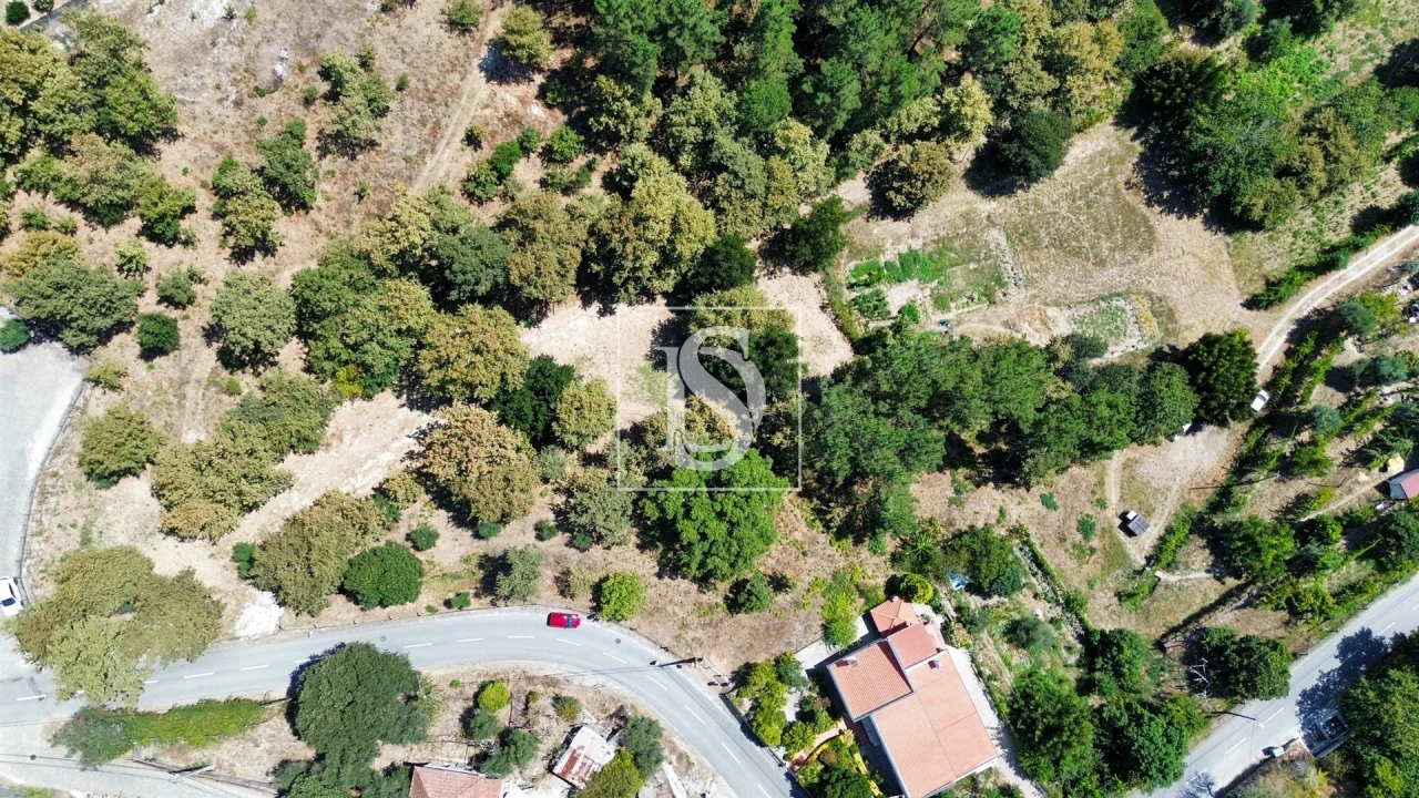Terreno para Venda em Lufrei Foto 2