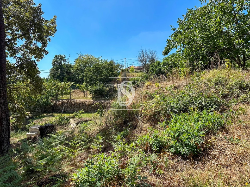 Terreno para Venda em Lufrei Foto 8