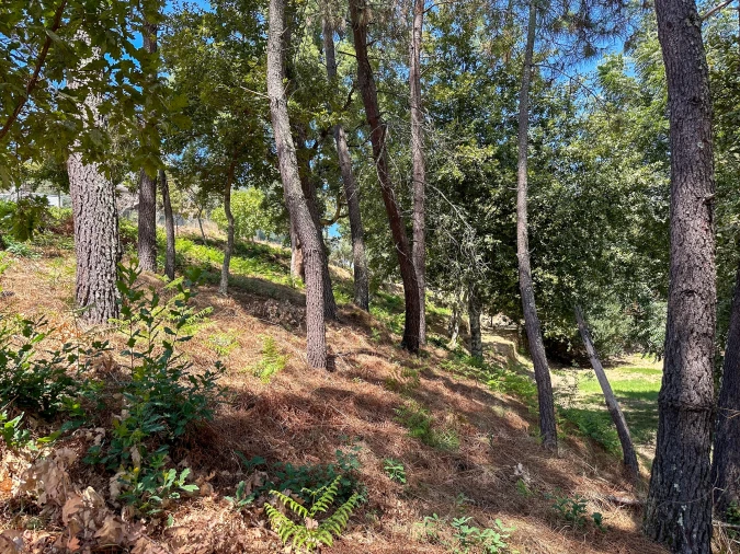 Terreno para Venda em Lufrei Foto 4