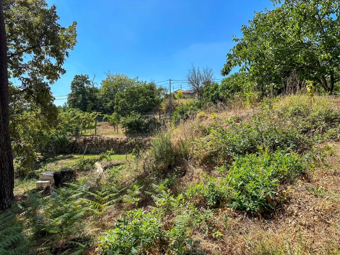 Terreno para Venda em Lufrei Foto 3