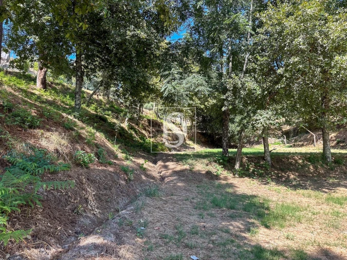 Terreno para Venda em Lufrei Foto 10
