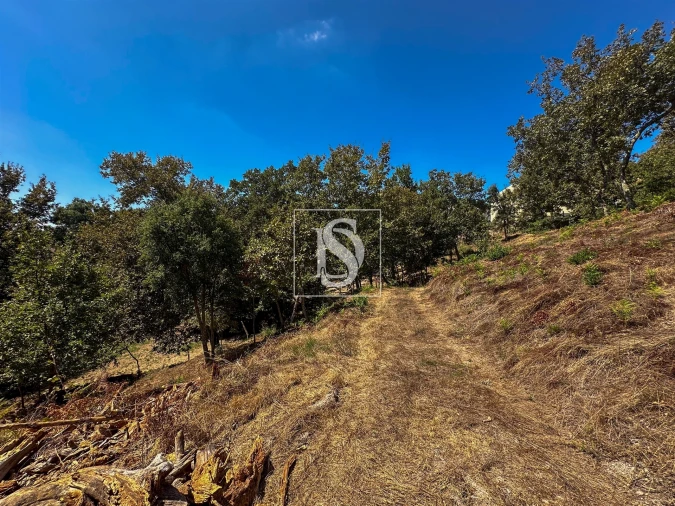 Terreno para Venda em Lufrei Foto 9