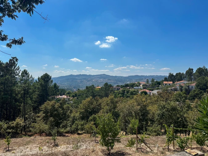 Terreno para Venda em Lufrei Foto 12