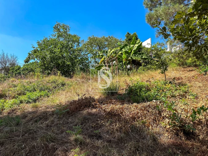 Terreno para Venda em Lufrei Foto 6