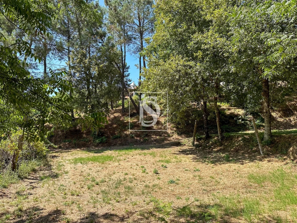 Terreno para Venda em Lufrei Foto 1
