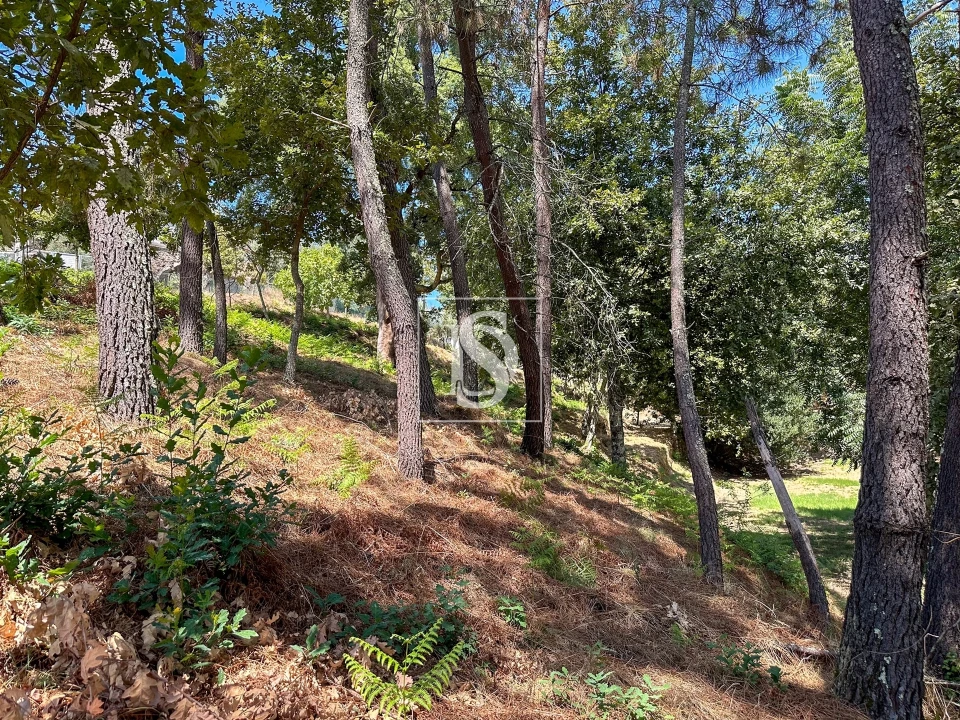 Terreno para Venda em Lufrei Foto 7