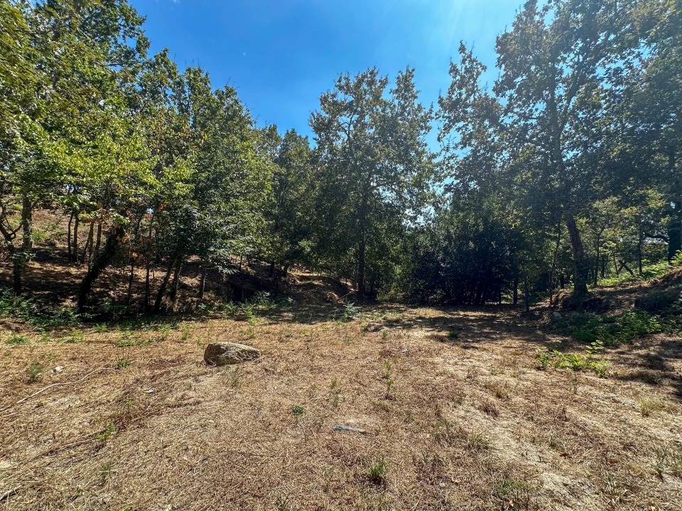 Terreno para Venda em Lufrei Foto 10