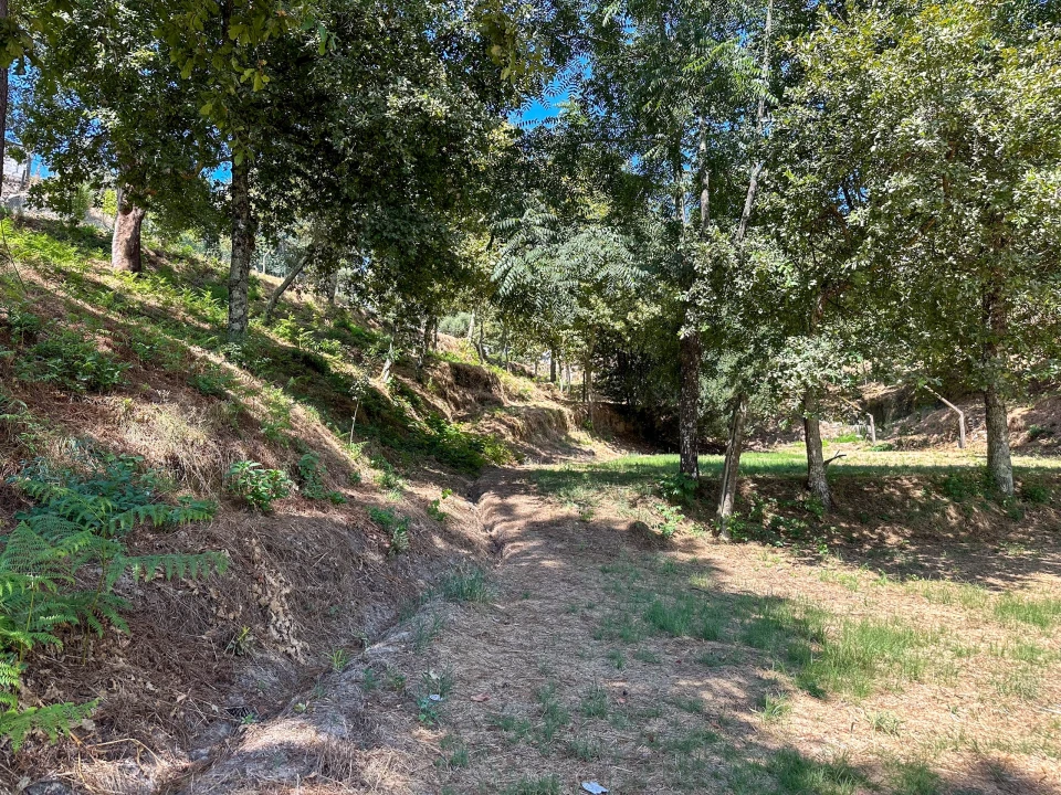 Terreno para Venda em Lufrei Foto 6