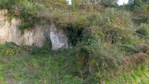 Terreno para Venda em Ansiães