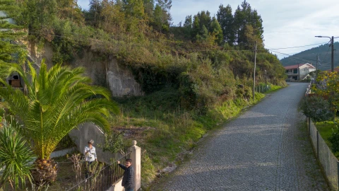 Terreno para Venda em Ansiães
